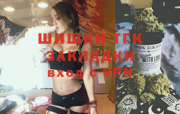 стаф Касимов