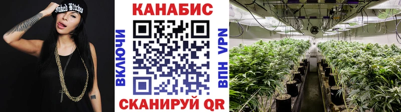 Канабис марихуана  наркота  Нелидово 